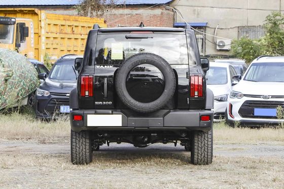  300 Young People Automatic Fuel Powered Car 5 Seats High Speed