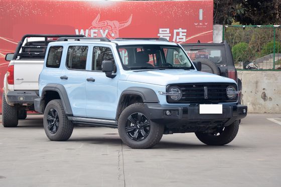  300 Big Suv Fuel Powered Car With Automatic Transmission And 5 Seats